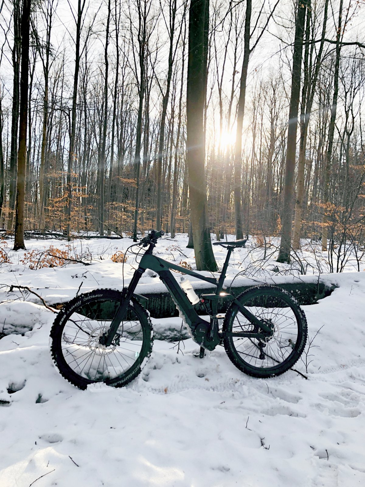 snow.jpg
