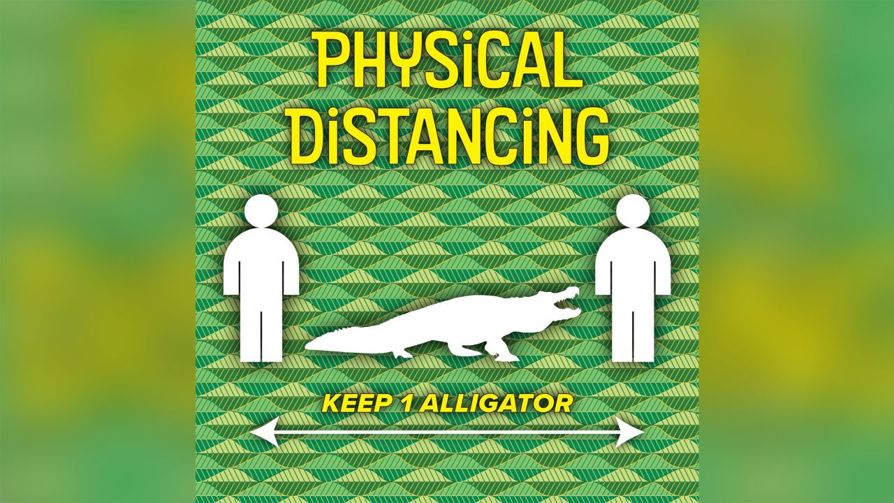 social-distancing-florida-alligator-trnd.jpg