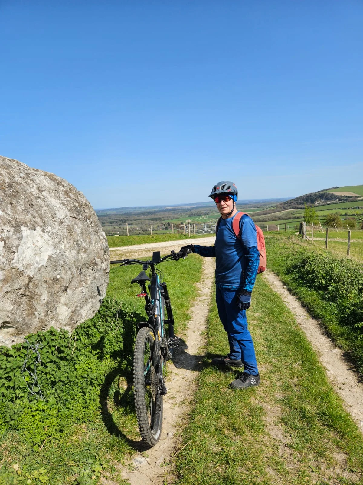 South Downs boulder.webp
