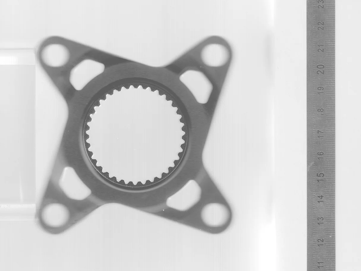 Spider_SCAN.webp