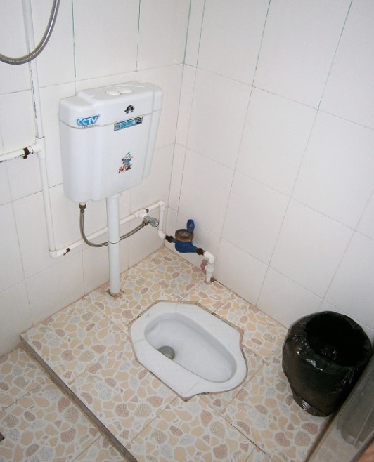 Squat Toilet.png