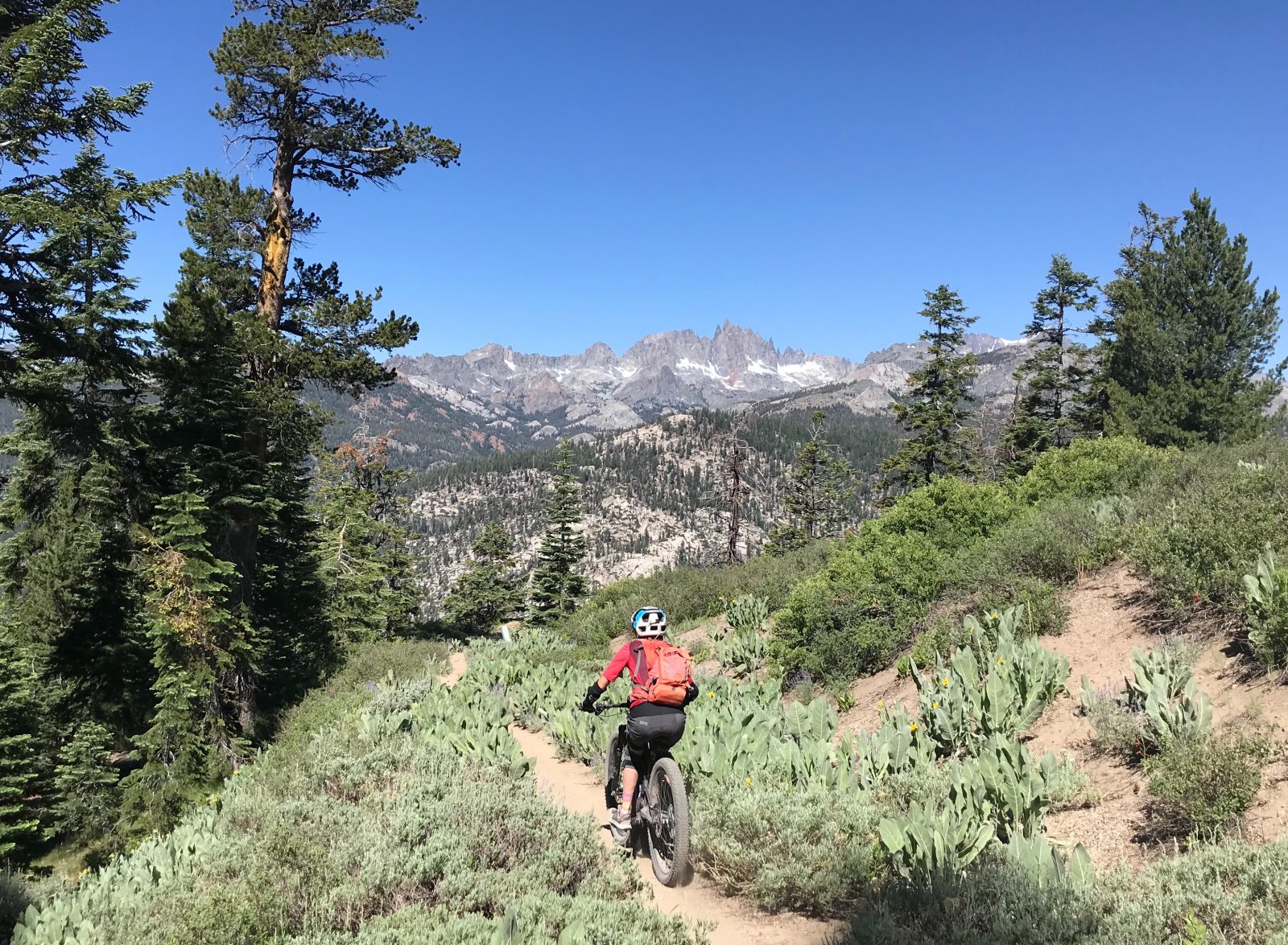 Starkweather trail.jpg