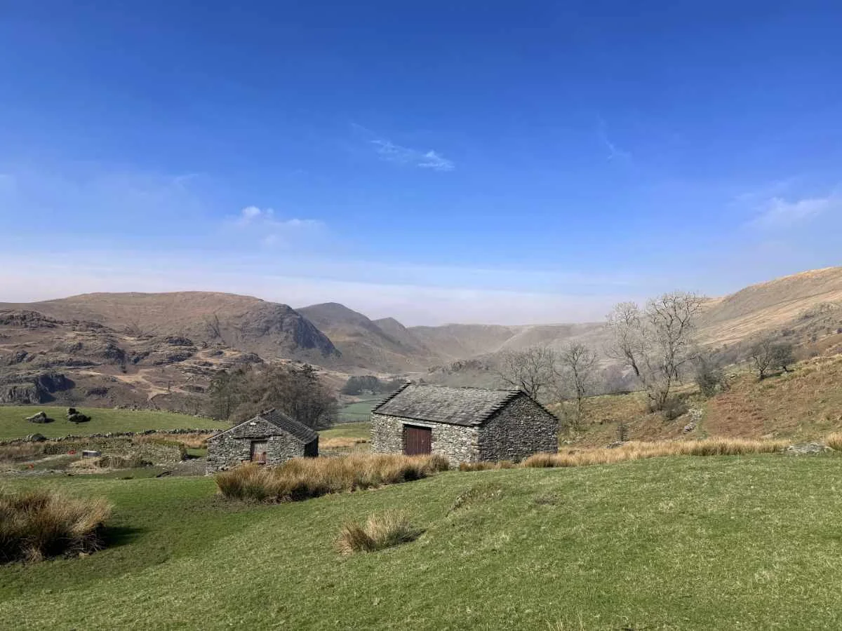 Staveley2.webp