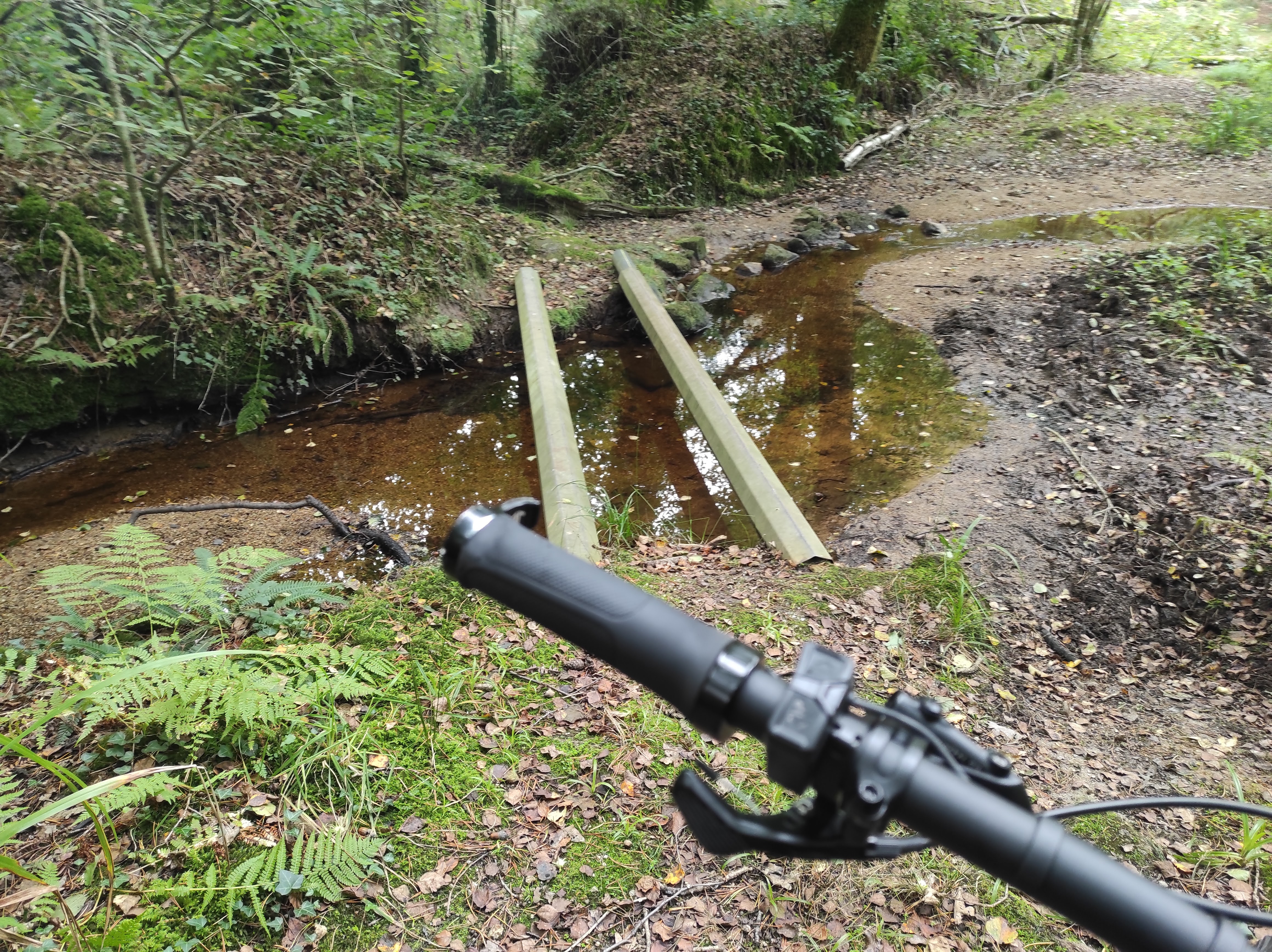 Strava 5.jpg