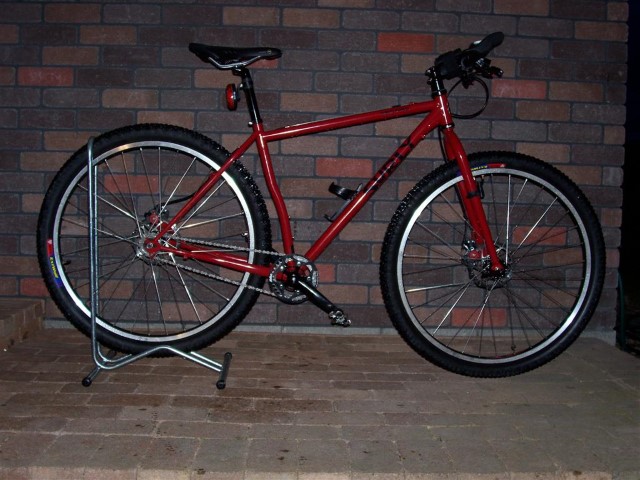 Surly (Small).JPG