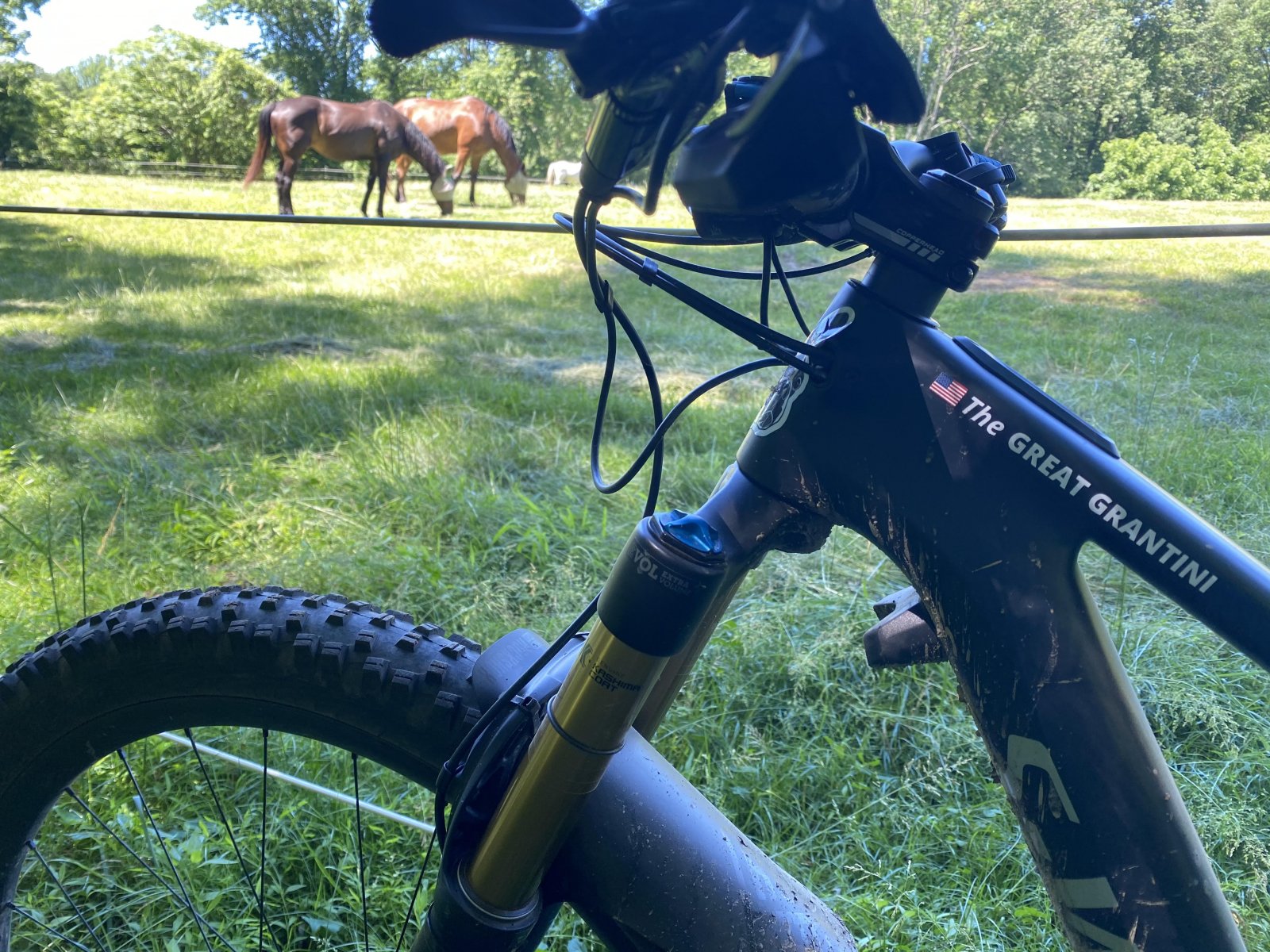 sworks 22.jpg