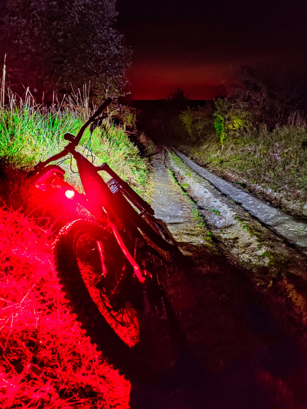 Tail light.jpeg