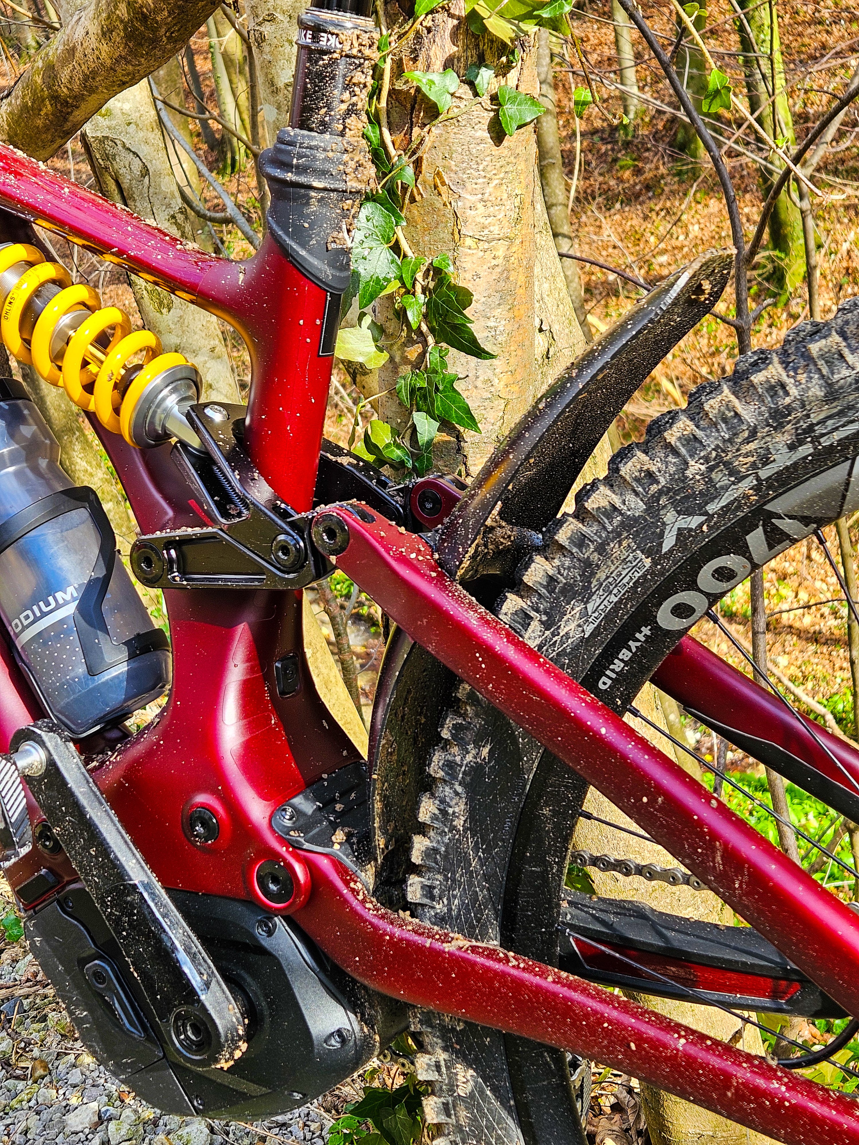 Test ride 02.jpg