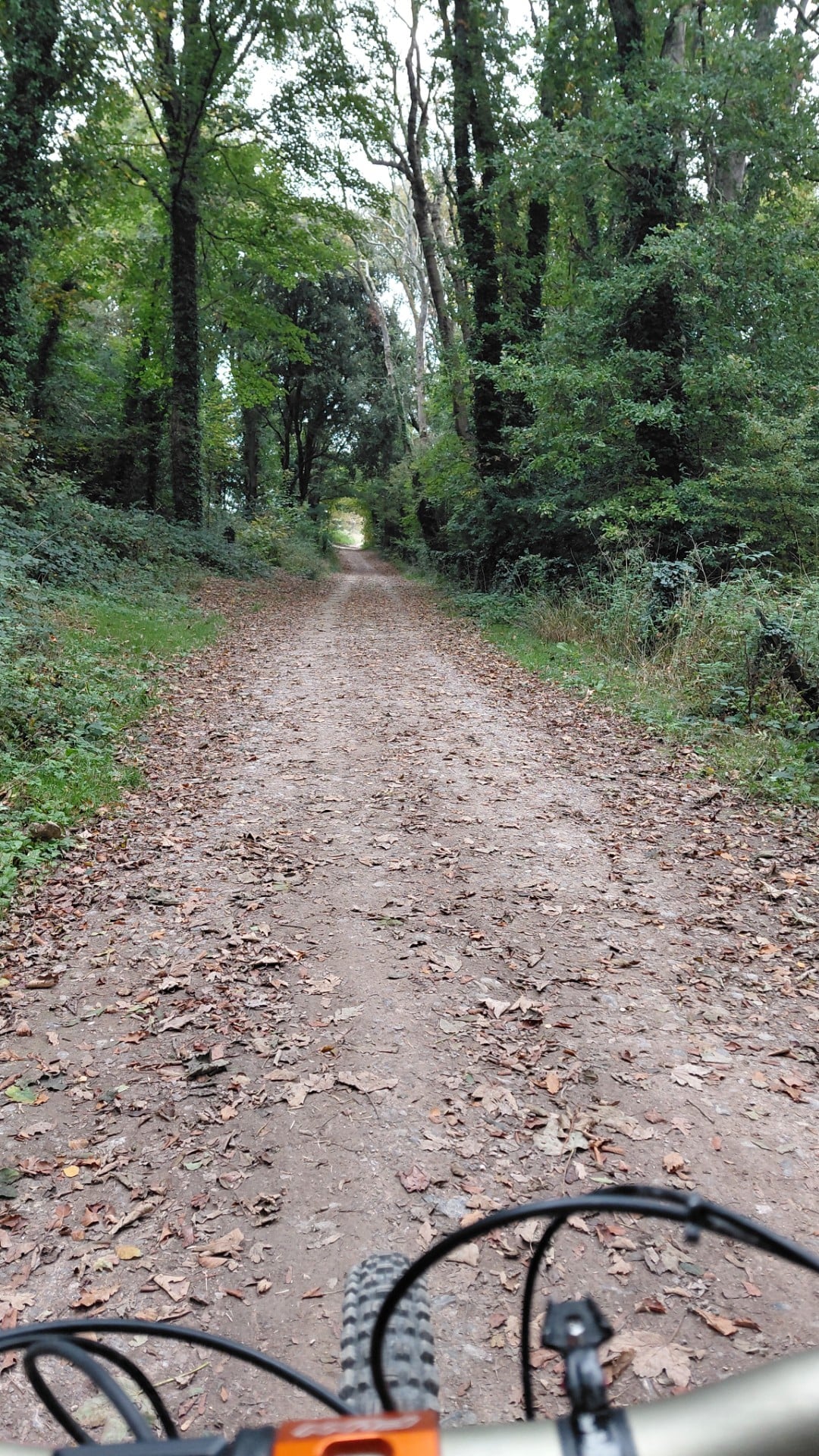 thumbnail_20251011_145426.jpg