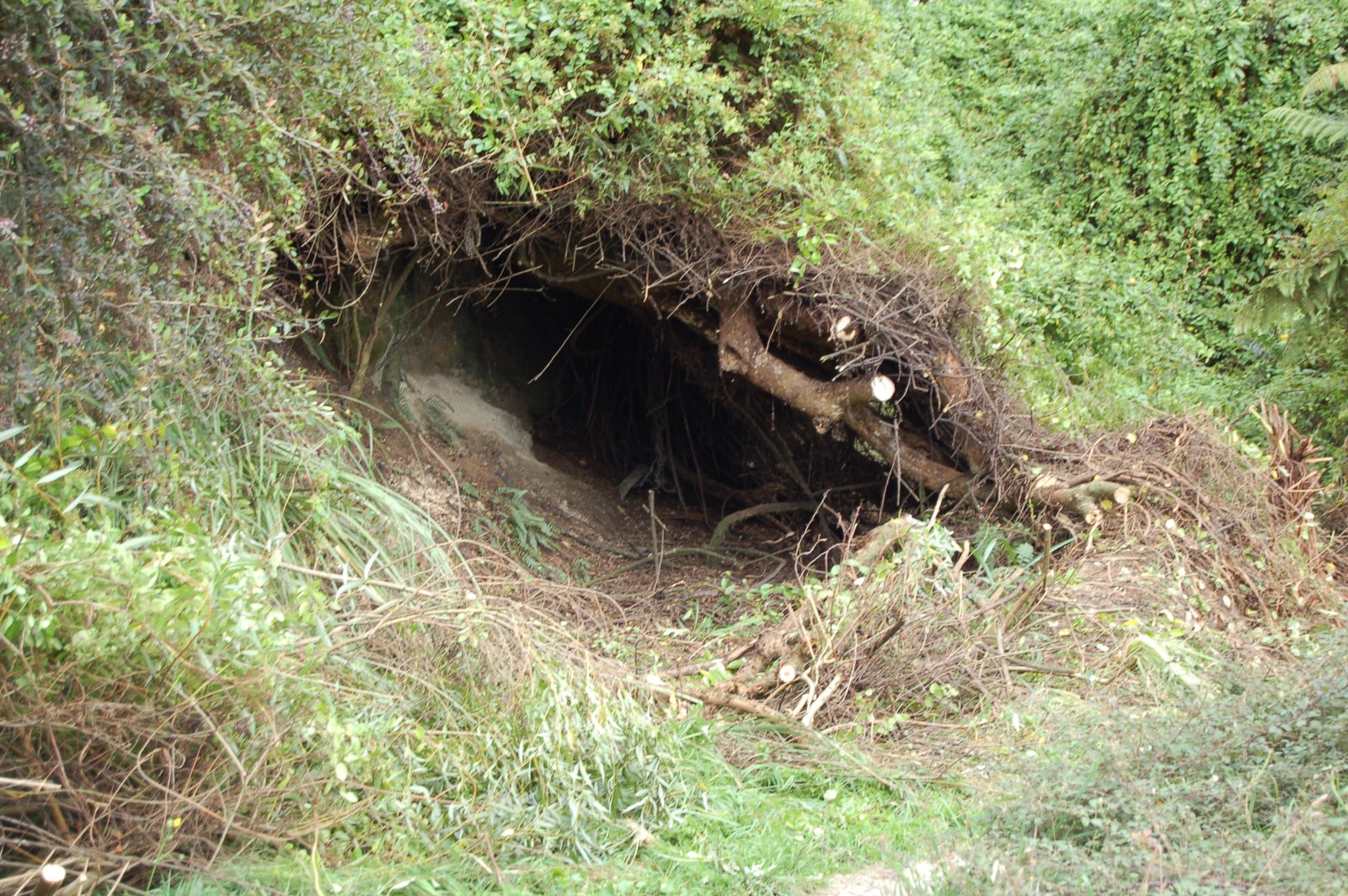 Track 3.jpg