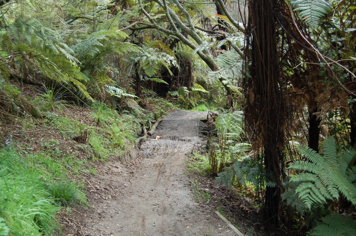 Track 7.jpg