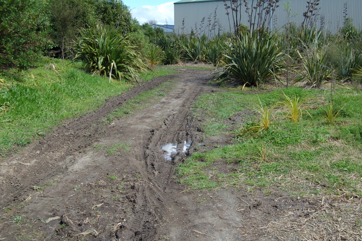 Track 9.jpg