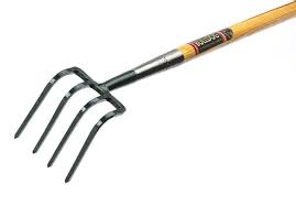 trail fork.jpg