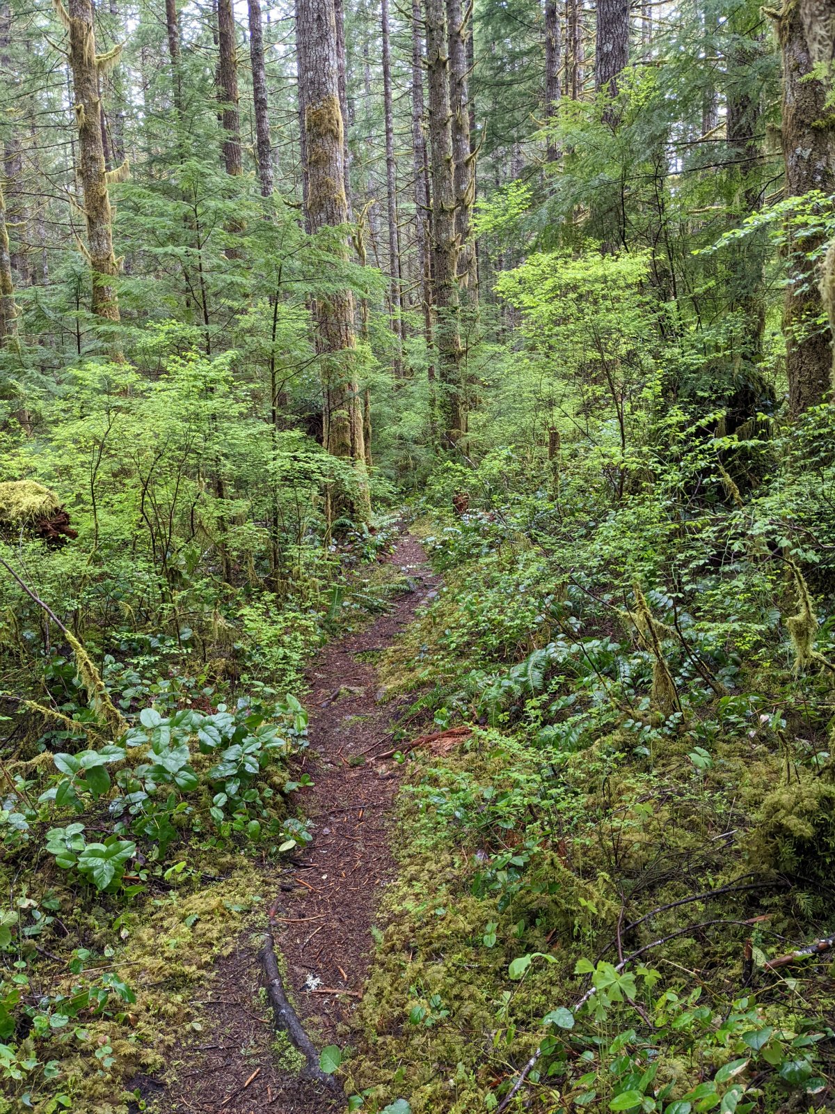 trail.jpg