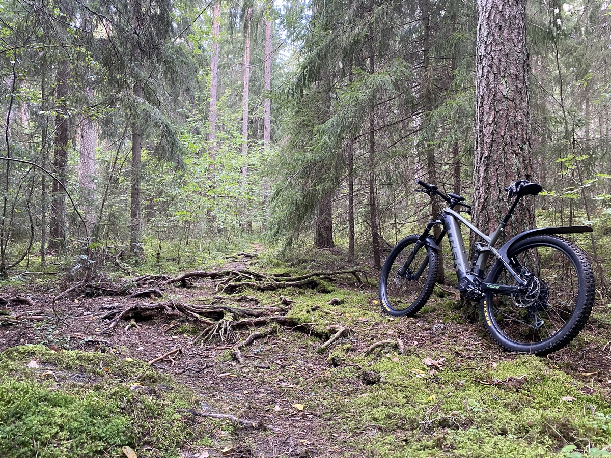 TREK05.jpg