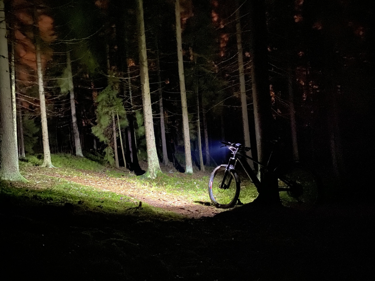 trekandforest.jpg