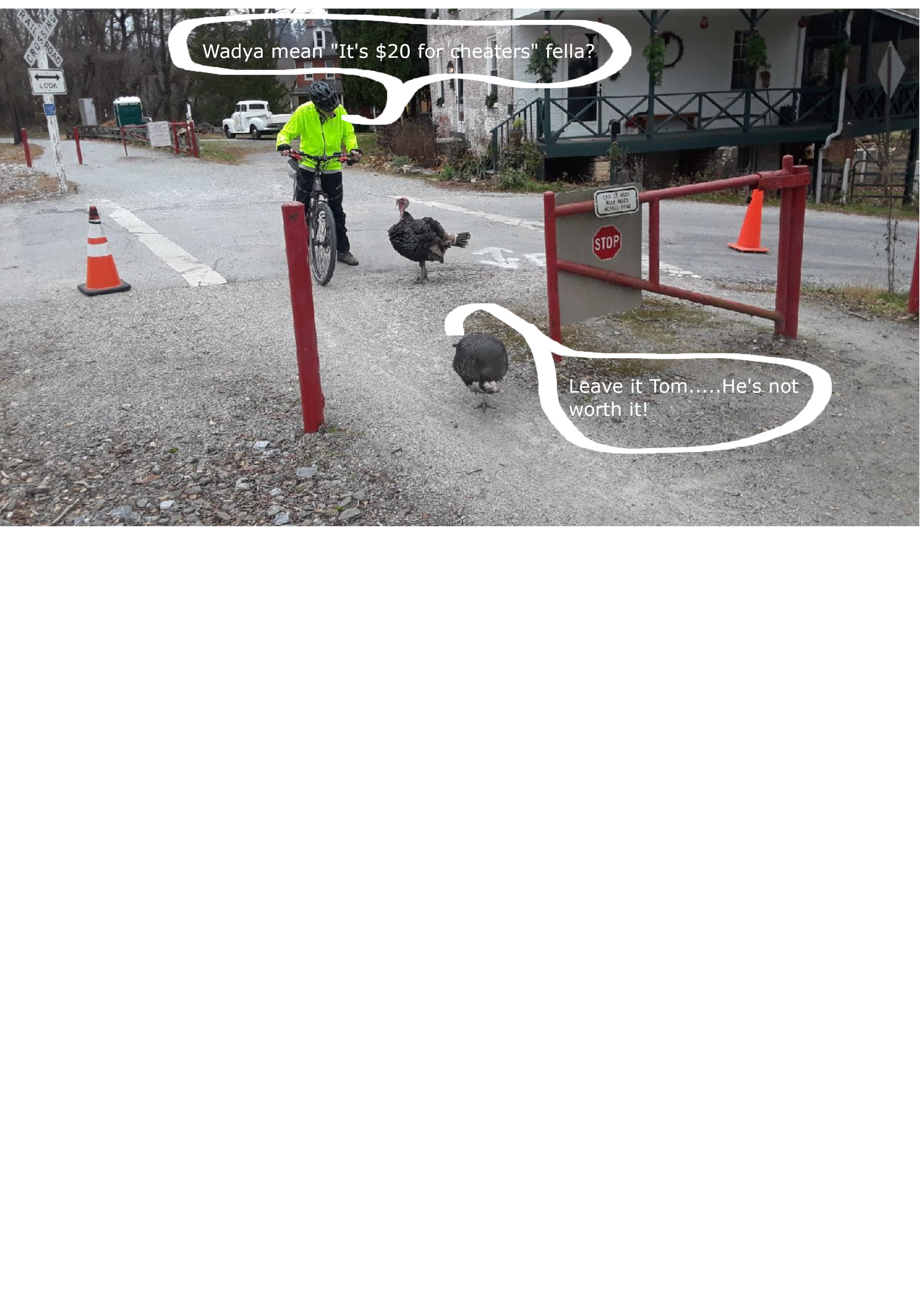 Turkeys.png