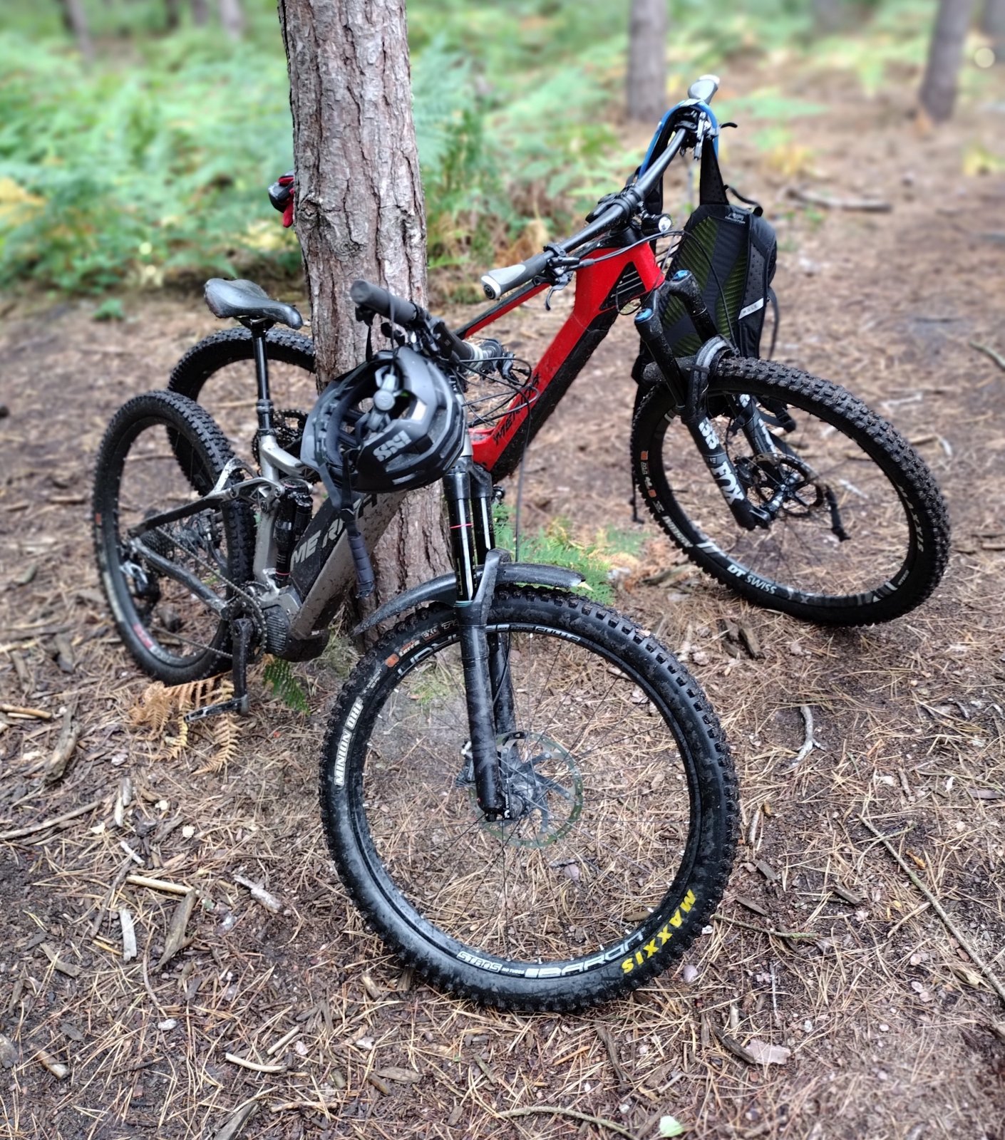 Two bikes.jpg
