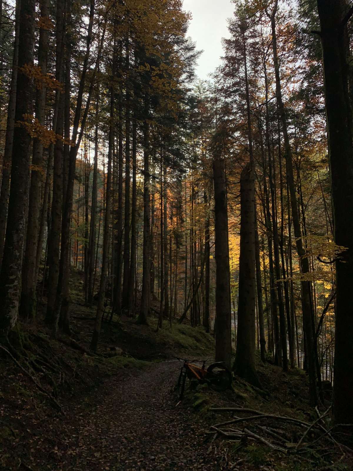 uphill2.jpg