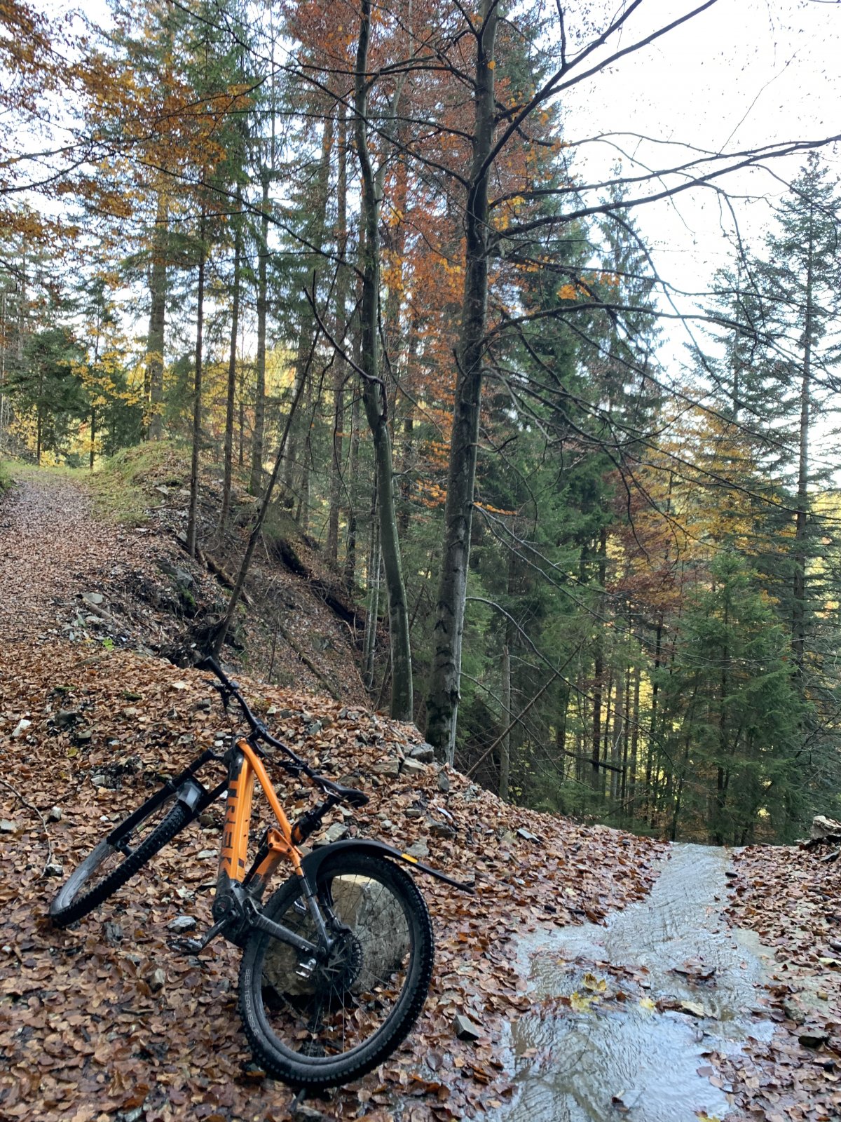 uphill6.jpg