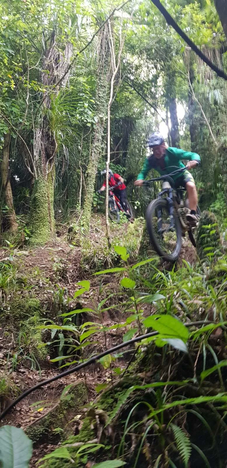 viber_image_2021-02-06_09-09-04.webp