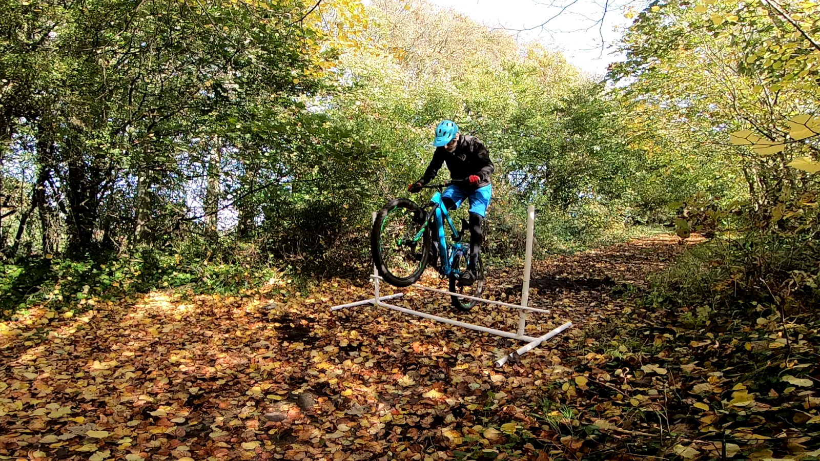vlcsnap-2019-10-27-15h27m00s818.png