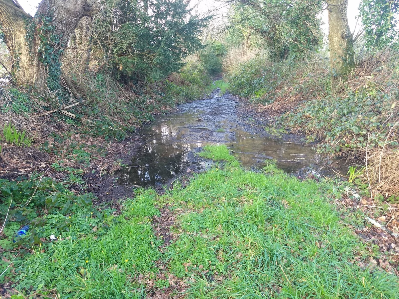 w1.jpg