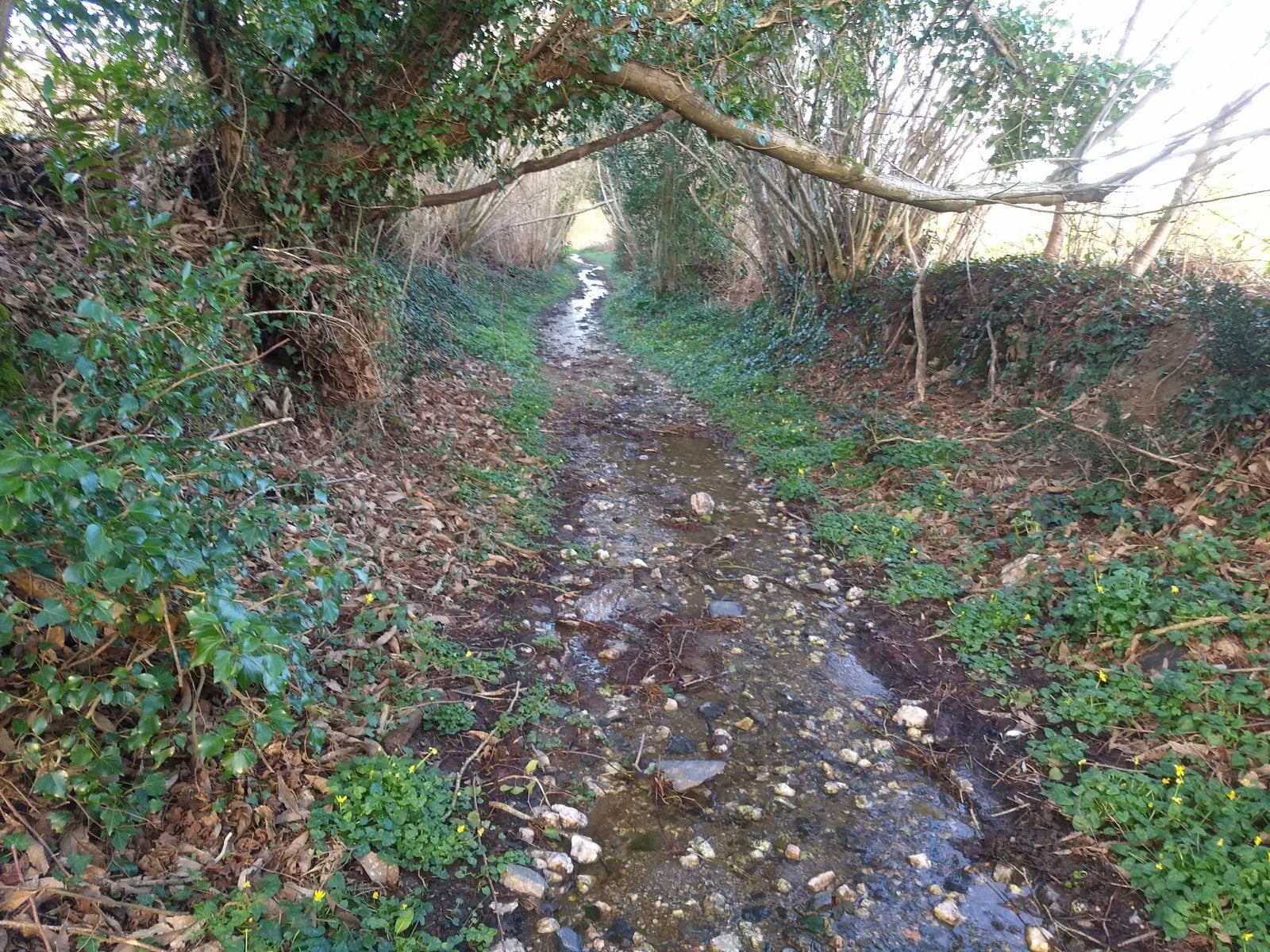 w4.jpg