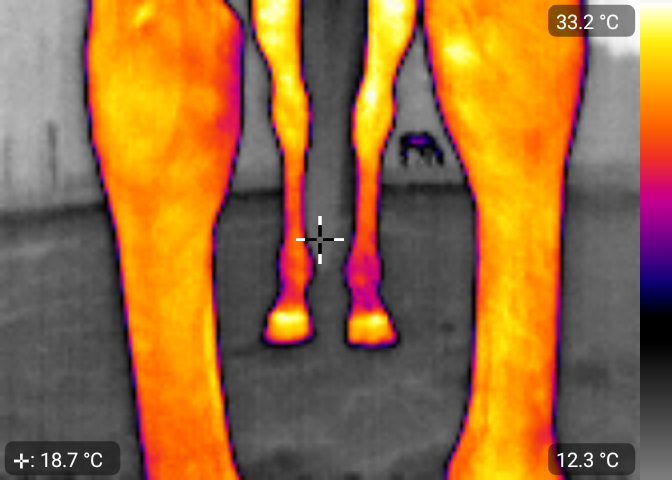 warm.png