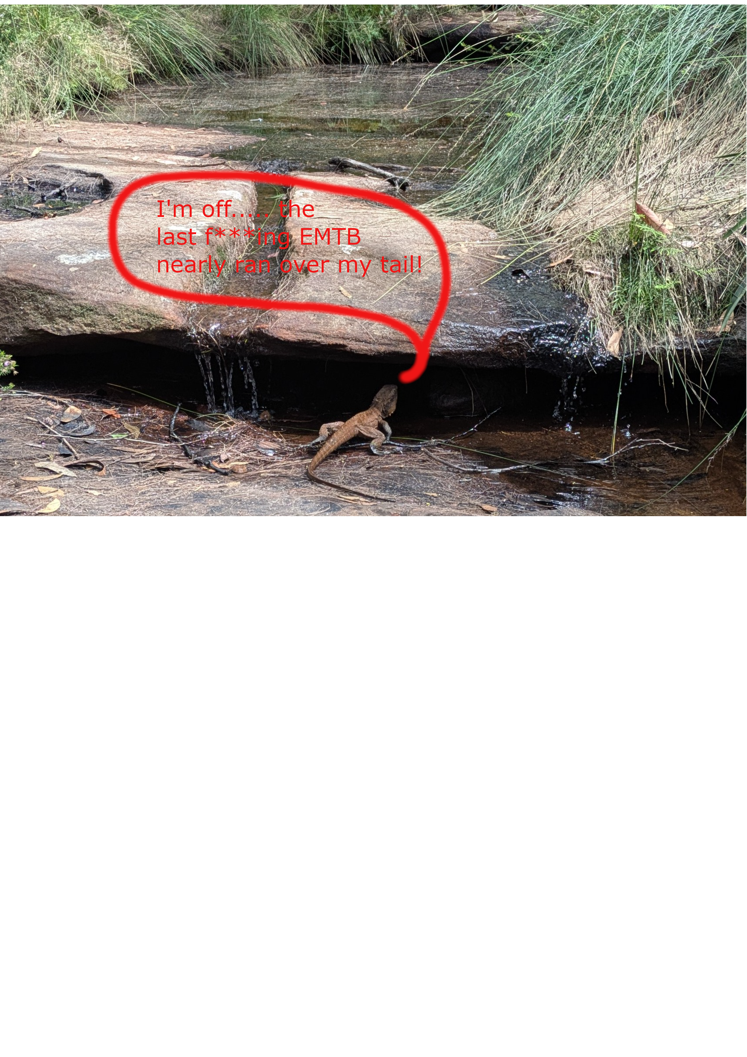 WatDrag.png