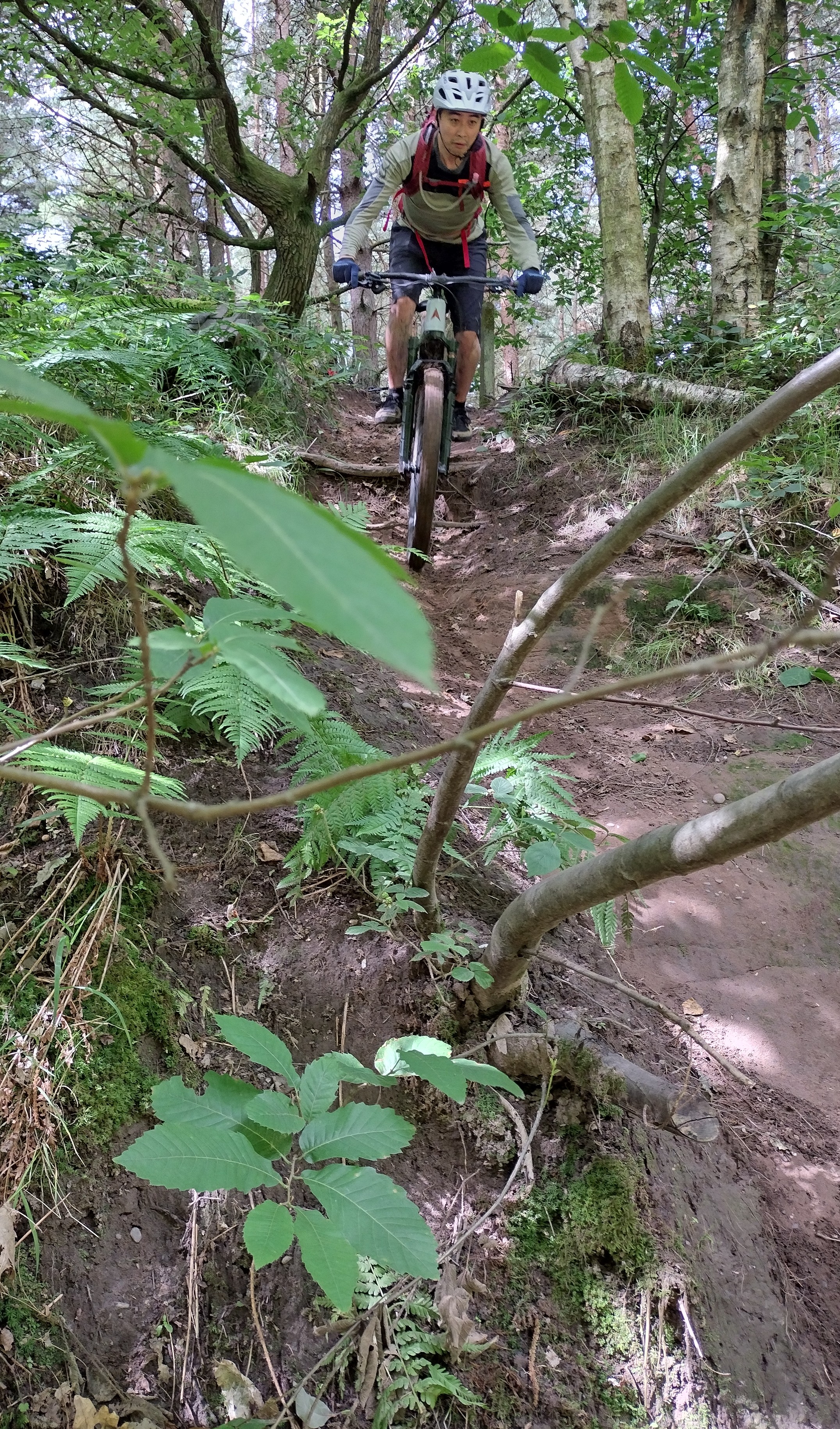 Weiran descending.jpg