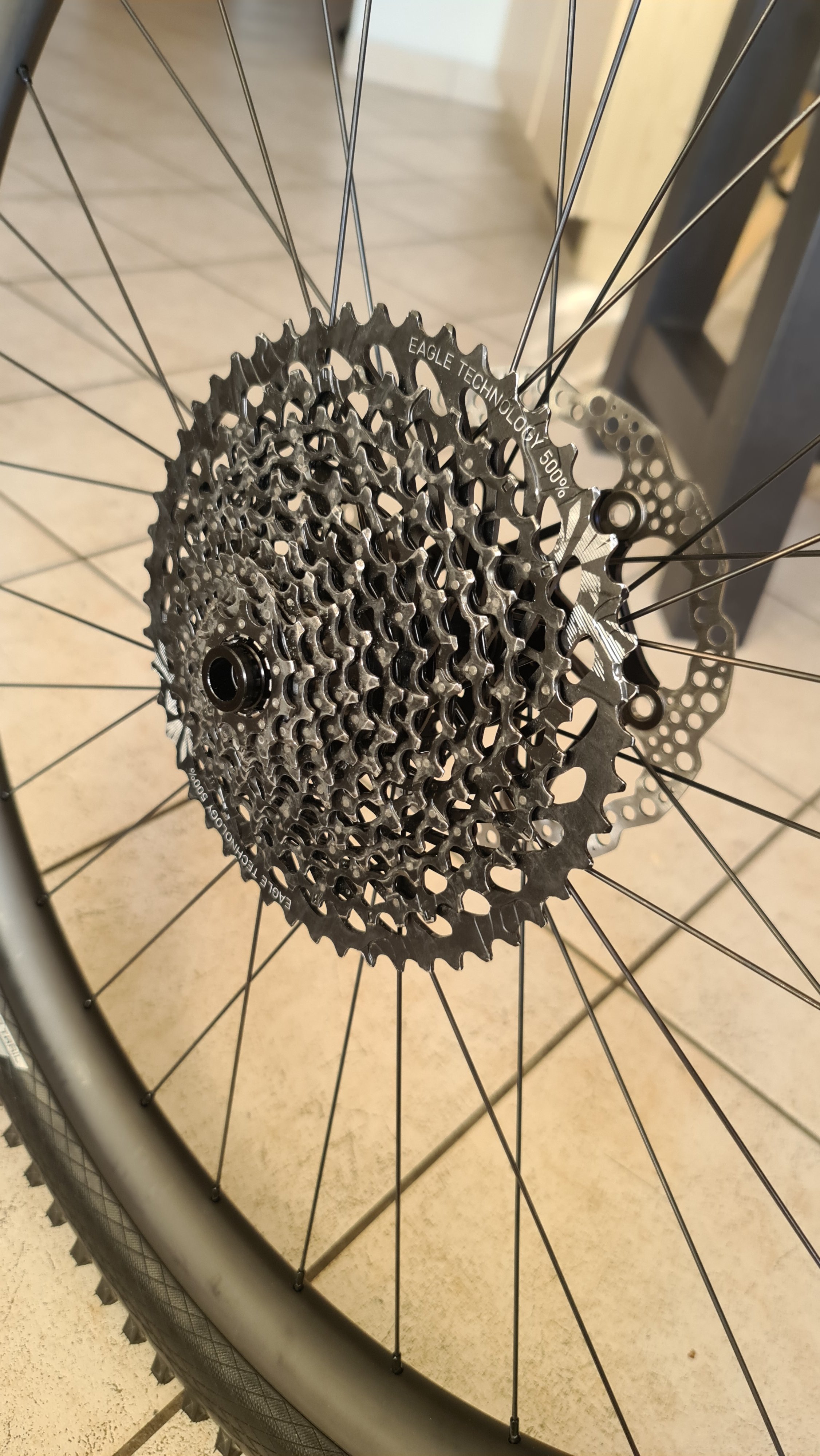 wheel Rear.jpg