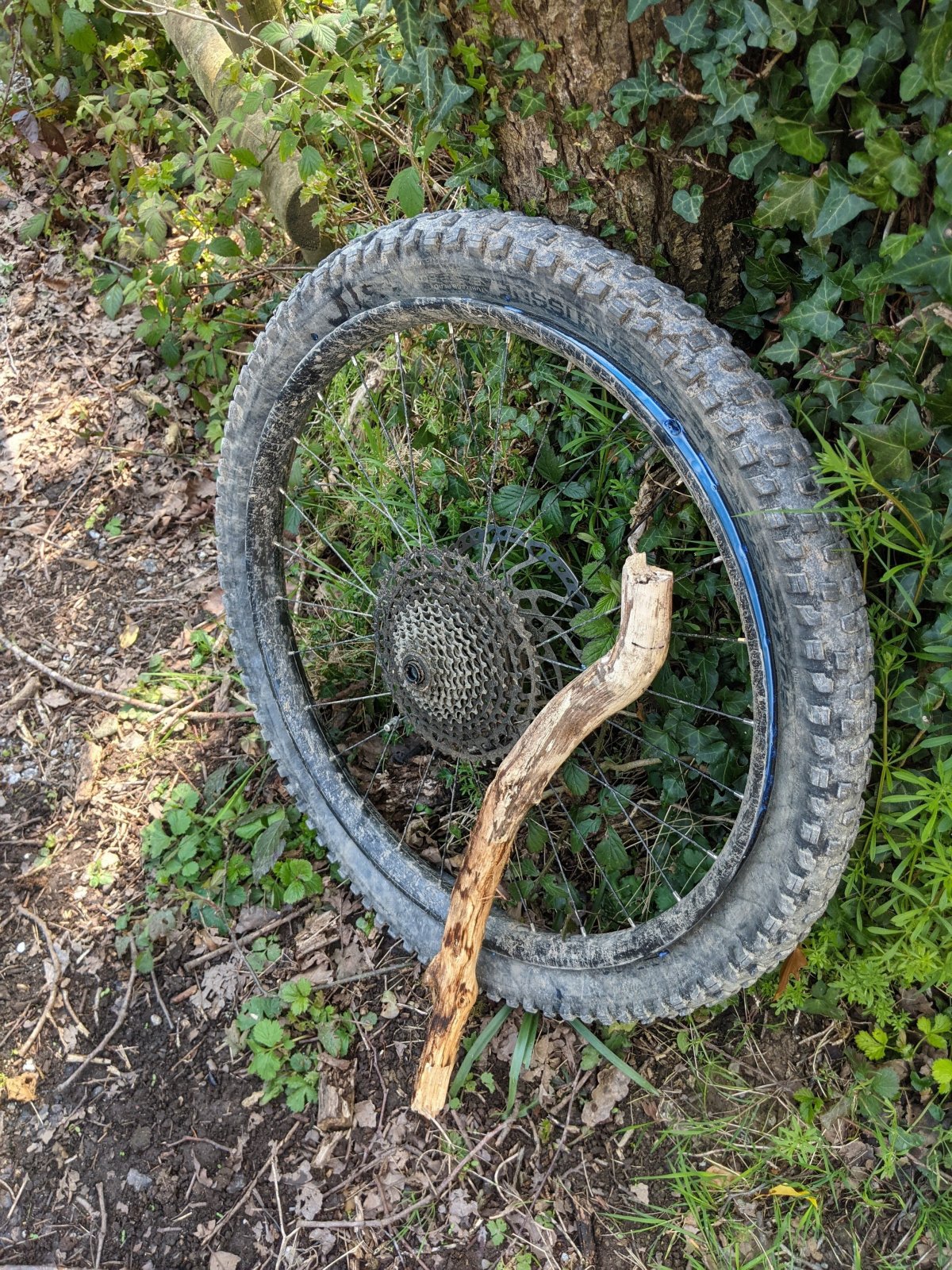 wheeland patented stick.jpg