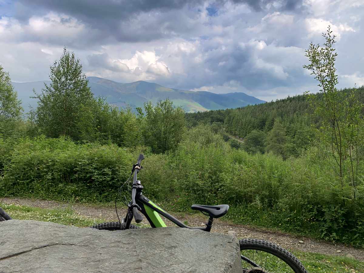 Whinlatter03.jpg