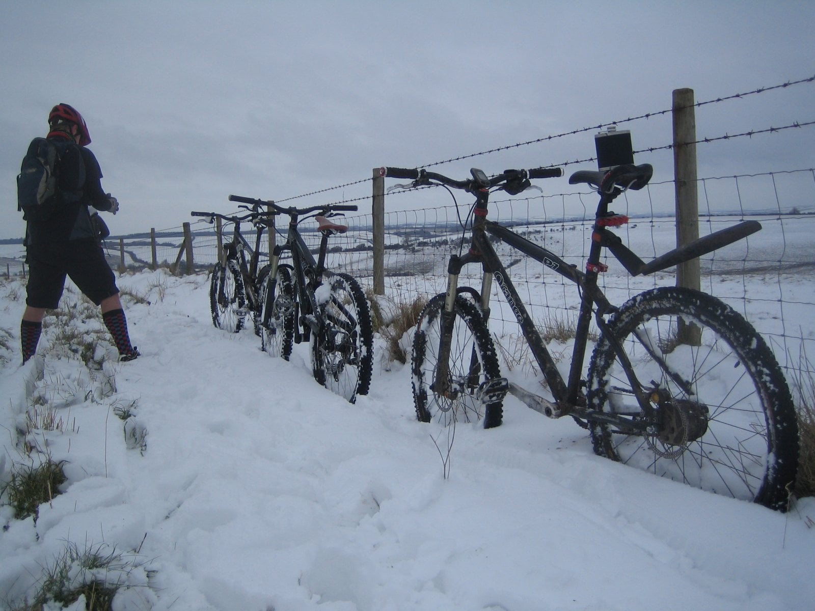 Winter P7.JPG