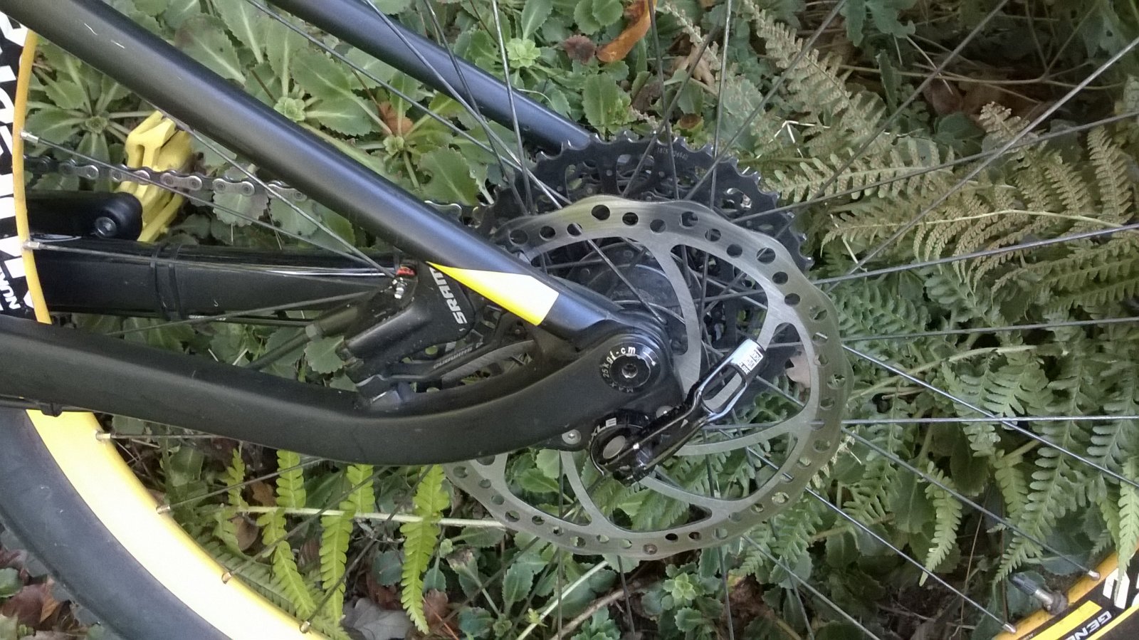WP_20180930_17_49_09_Pro.jpg