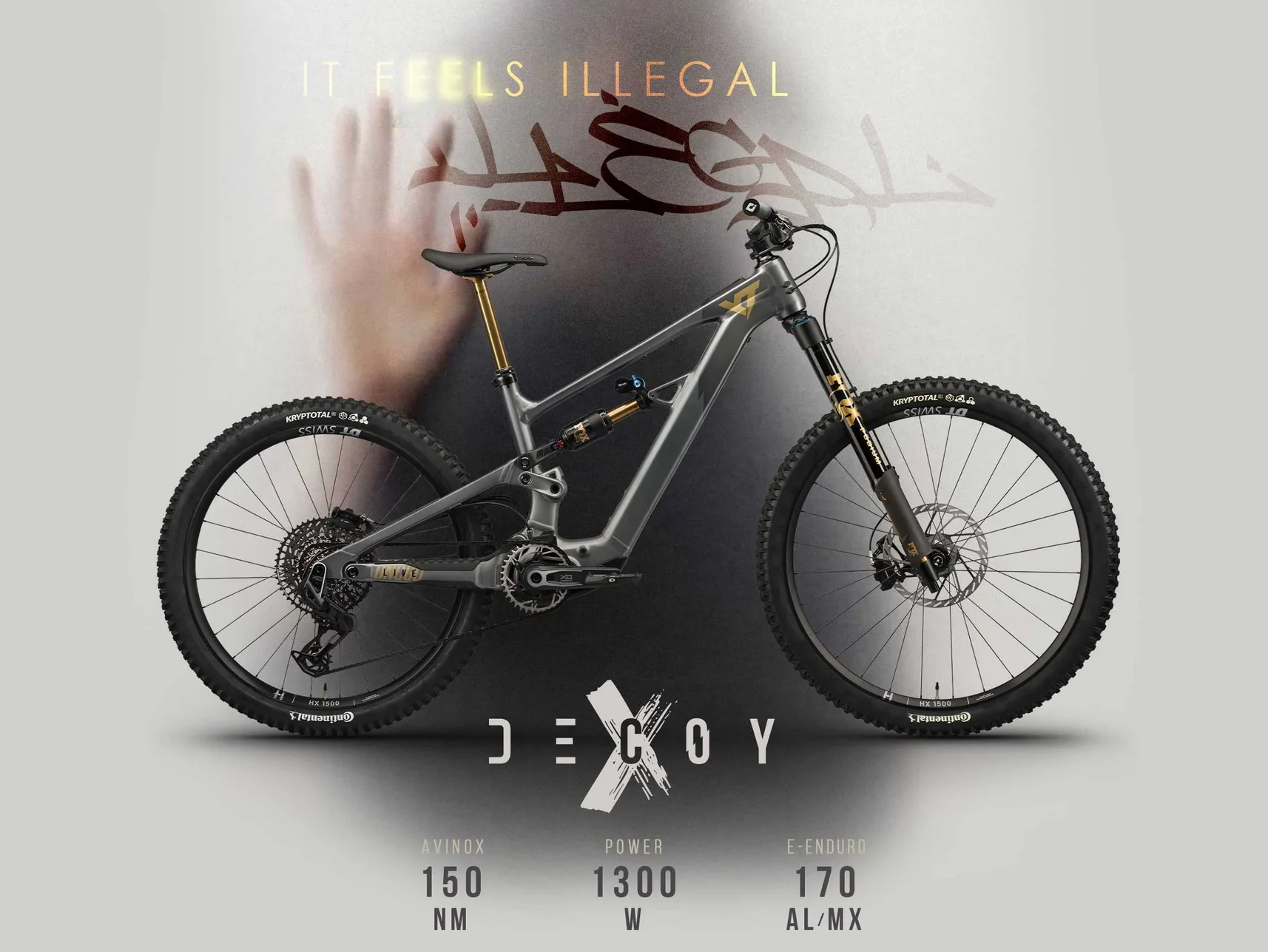 YTDECOYX.webp
