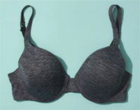 Zimmer Bra.jpg