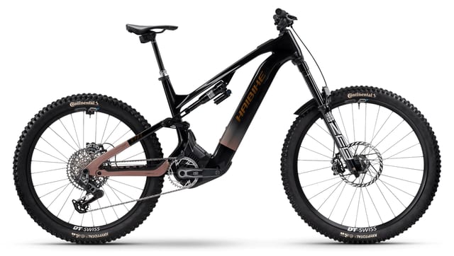 Haibike HYBE CF 11