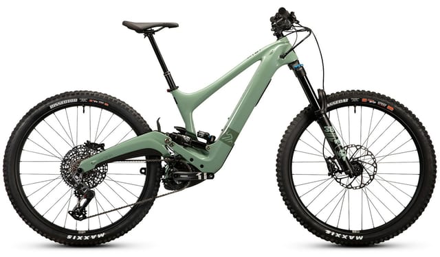Ibis Oso