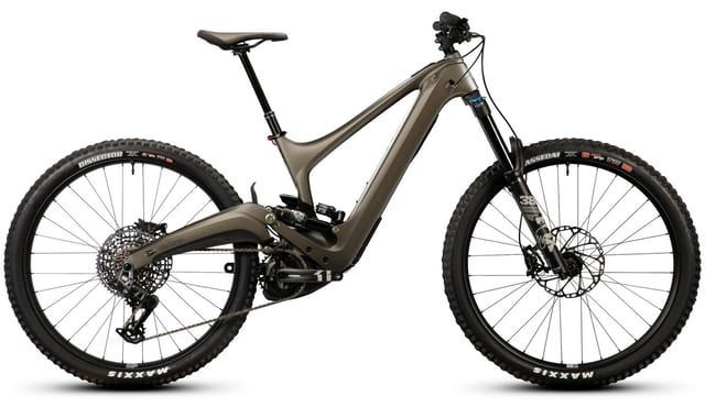 Ibis Oso