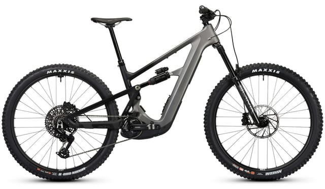 Ibis Oso
