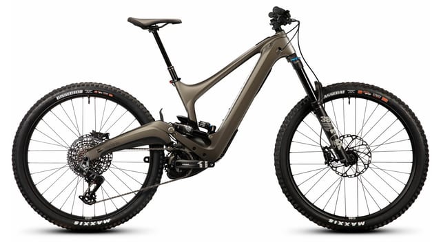 Ibis Oso S