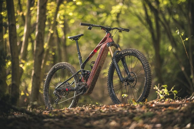 Mondraker Neat