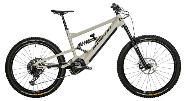 Nicolai G1 Eboxx