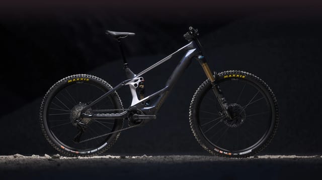Orbea Wild ST
