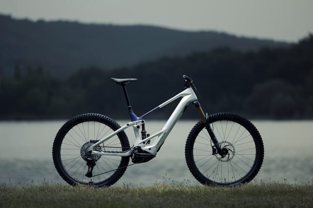 Orbea Wild TR