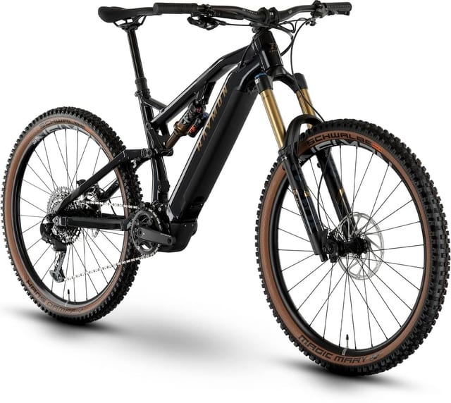 R Raymon TrailRay E 10.0