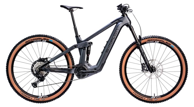 Simplon Rapcon :eCX