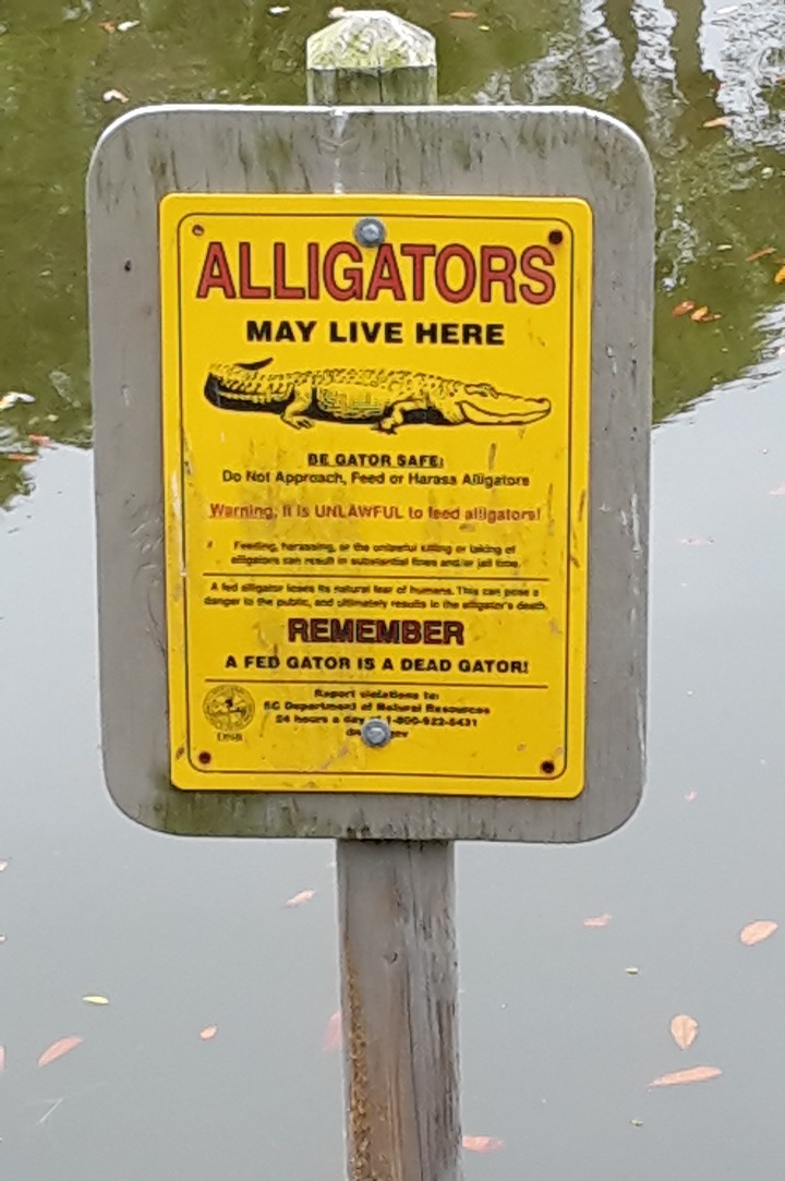 Alligator Sign.jpg